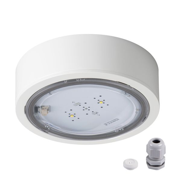 ITECH M5 305 M AT W Emergency LED light - Individual order image 1