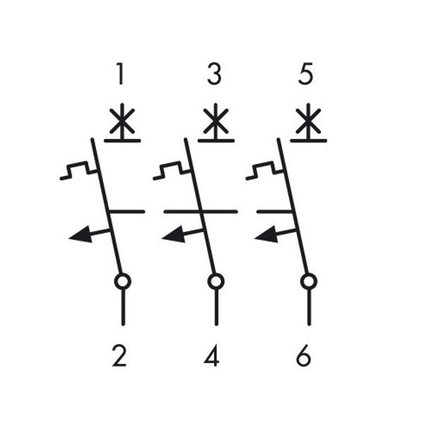 Miniature Circuit Breaker (MCB) AMPARO 6kA, C 16A, 3-pole image 3