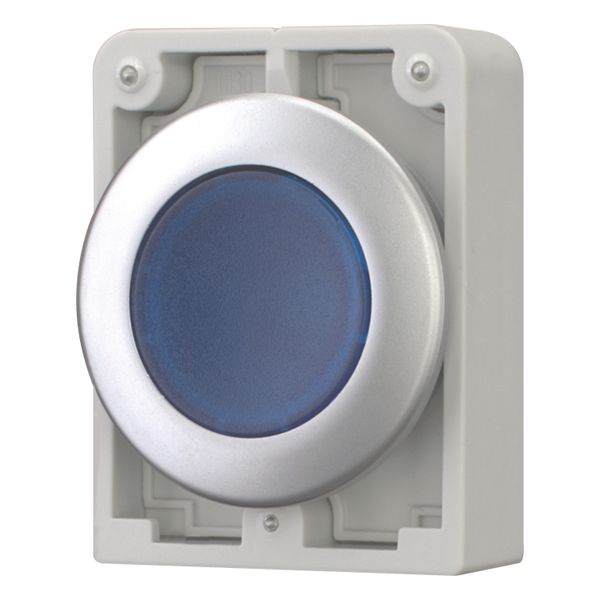 Illuminated pushbutton actuator, RMQ-Titan, Flat, momentary, Blue, Blank, Metal bezel image 2