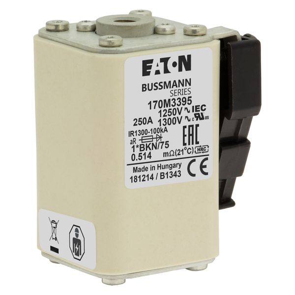 Fuse-link, high speed, 250 A, AC 1250 V, compact size 1, 45 x 59 x 75 mm, aR, IEC, UL, single indicator image 10