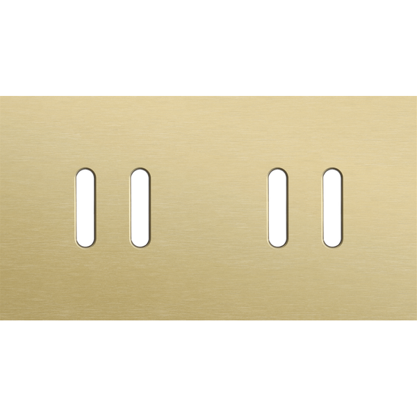 Twofold faceplate, horizontal 71 mm centre distance, for double switch image 1