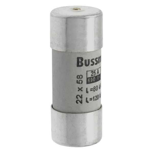 Fuse-link, LV, 25 A, AC 690 V, 22 x 58 mm, gL/gG, IEC, with striker image 18