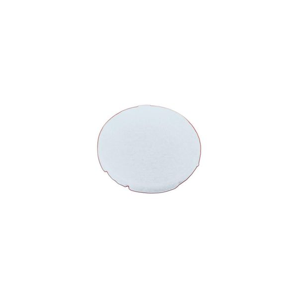 Button plate, flat white, blank image 4