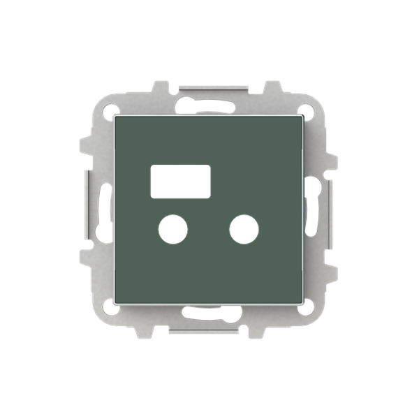 8568.3 CM Cover pl i/o + USB module USB Central cover plate Green - Sky Niessen image 1