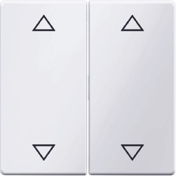 Rocker 2gang imprinted arrows symbol, Q.1/Q.3, p. white velvety image 1