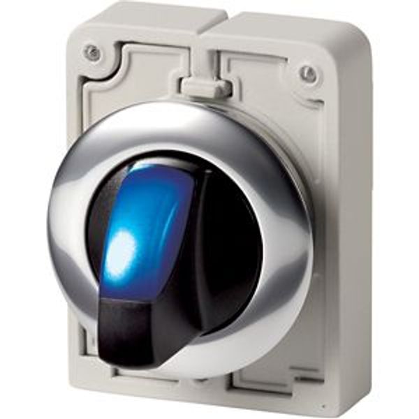 Illuminated selector switch actuator, RMQ-Titan, With thumb-grip, maintained, 2 positions, Blue, Metal bezel image 4