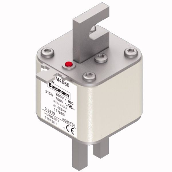 Fuse-link, high speed, 315 A, AC 690 V, DIN 1, 53 x 66 x 108 mm, aR, DIN, IEC, single indicator image 2