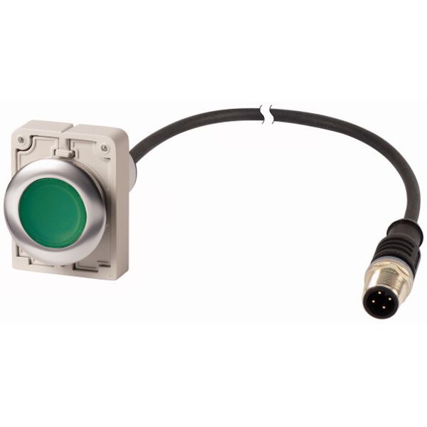 Illuminated pushbutton actuator, Flat, maintained, 1 N/O, Cable (black) with M12A plug, 4 pole, 1 m, LED green, green, Blank, 24 V AC/DC, Metal bezel image 1