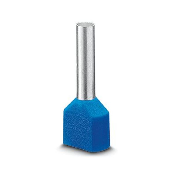 Ferrule image 2