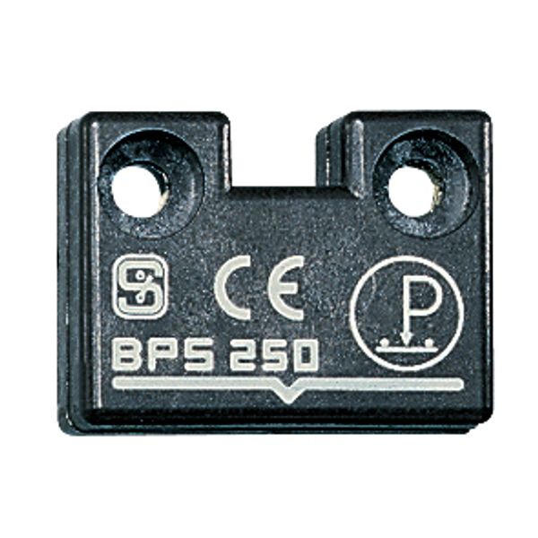 BPS 250 image 1