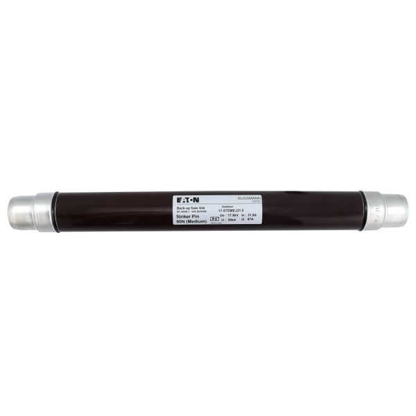 Fuse-link, medium voltage, 31.5 A, AC 17.5 kV, 2", 51 x 442 mm, back-up, DIN, with striker image 5