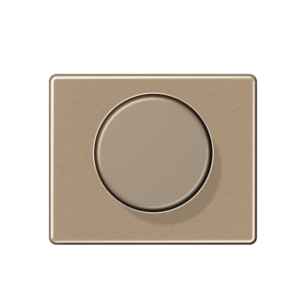 Afdekking draaidimmer SL500 goudbrons image 1