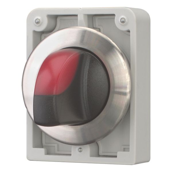 Illuminated selector switch actuator, RMQ-Titan, with thumb-grip, momentary, 2 positions, red, Front ring stainless steel image 4