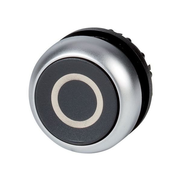 Pushbutton, RMQ-Titan, Flat, momentary, black, inscribed, Bezel: titanium image 6