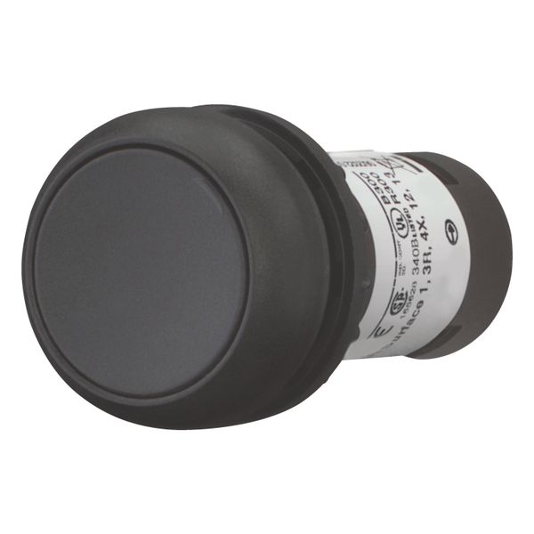 Pushbutton, Flat, maintained, 2 NC, Screw connection, black, Blank, Bezel: black image 8