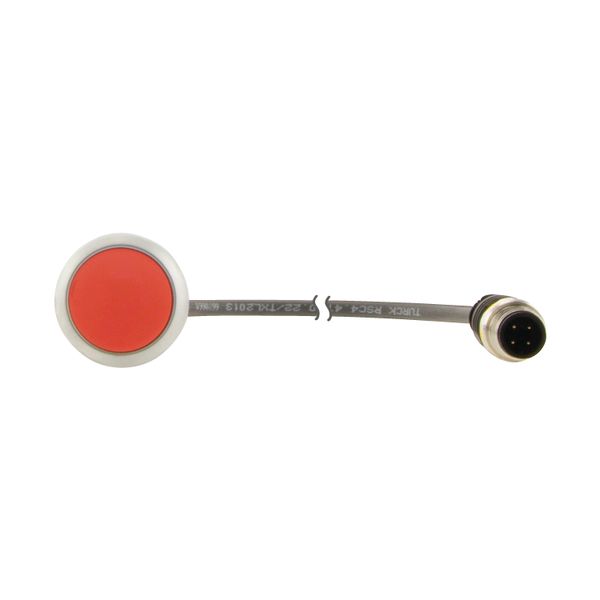 Pushbutton, flat, maintained, red, 1 N/C, with cable 1m and M12A plug image 14