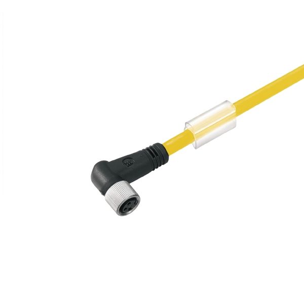 Sensor-actuator Cable (assembled), One end without connector, M8, Numb image 3