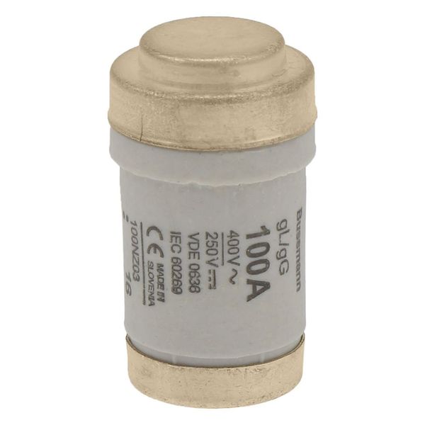 Fuse-link, LV, 100 A, AC 400 V, D03, gL/gG, IEC, time-delay image 20