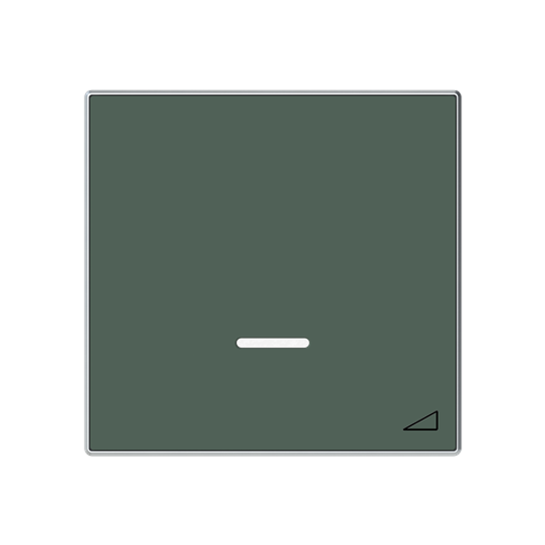 8560.1 CM Cover push knob dimmer Green - Sky Niessen image 1