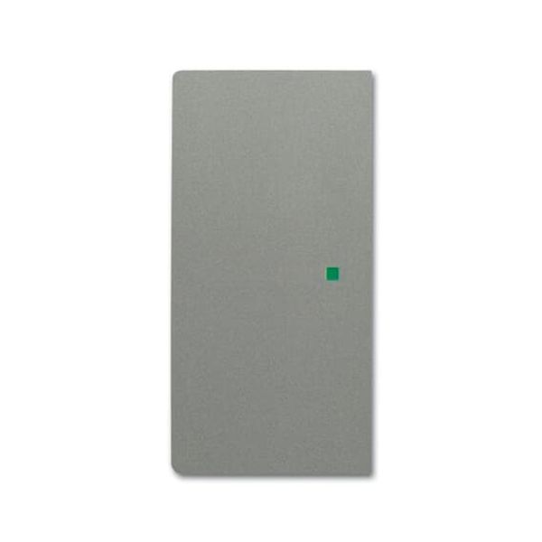 SRL-2-L-803 Electronic Controls free@home grey metallic - 63x63 image 4