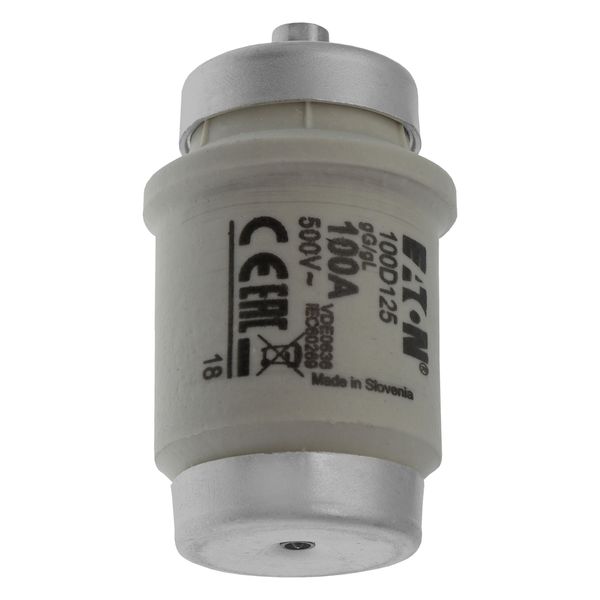 Fuse-link, LV, 100 A, AC 500 V, D4, gL/gG, IEC, time-delay image 14