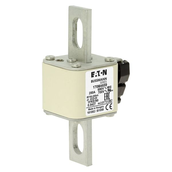 Fuse-link, high speed, 250 A, AC 690 V, size 1, 53 x 69 x 136 mm, aR, IEC, UL, single indicator image 8