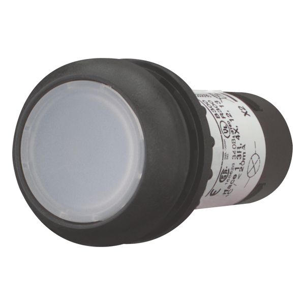 Illuminated pushbutton actuator, Flat, maintained, 1 N/O, Screw connection, LED white, White, Blank, 230 V AC, Bezel: black image 8