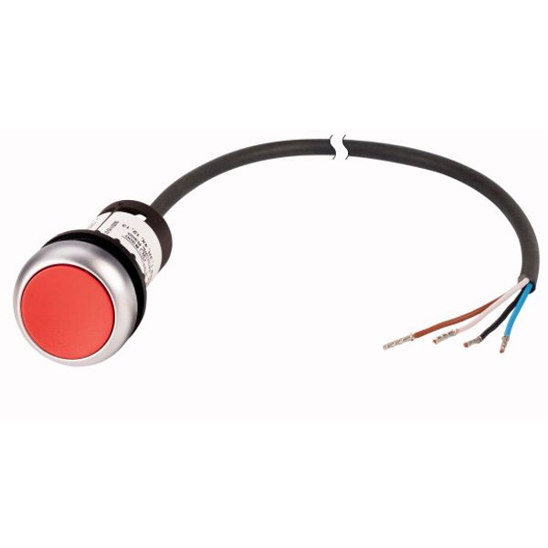 Pushbutton, classic, flat, maintained, 1 N/C, red, cable (black) with non-terminated end, 4 pole, 3.5 m image 1