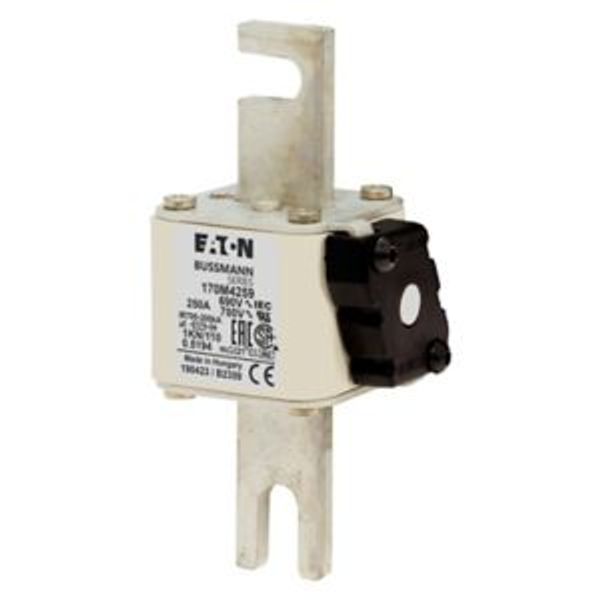 Fuse-link, high speed, 250 A, AC 690 V, DIN 1, 53 x 69 x 138 mm, aR, DIN, IEC, single indicator image 6