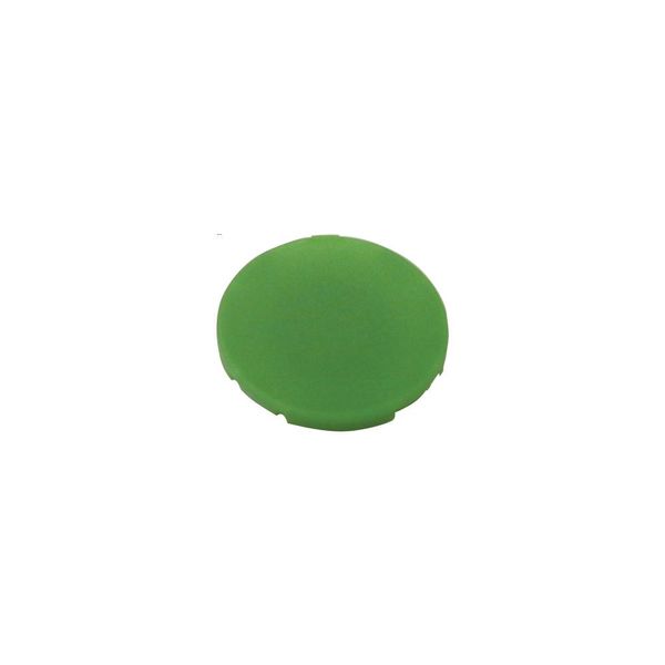 Button plate, flat green, blank image 3