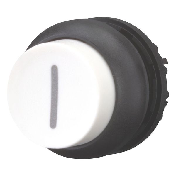 Pushbutton, RMQ-Titan, Extended, momentary, White, inscribed, Bezel: black image 5