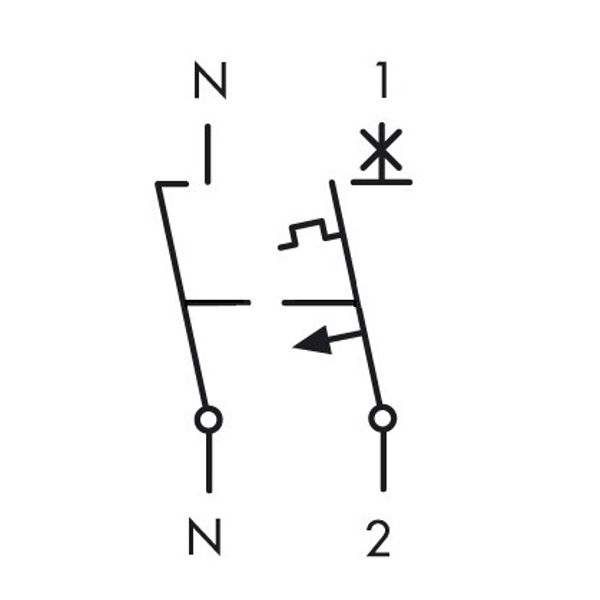 Miniature Circuit Breaker (MCB) AMPARO 6kA, C 10A, 1+N, 1MW image 9