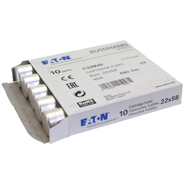 Fuse-link, LV, 40 A, AC 690 V, 22 x 58 mm, aM, IEC image 1