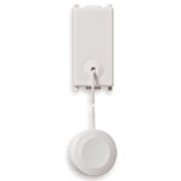 1P NC 10A cord-operated pushbutton white image 1