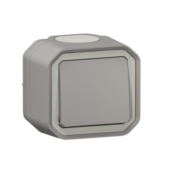 Plexo 10A waterproof switch or two-way switch delivered complete for gray surface mounting - plug-in packaging image 1