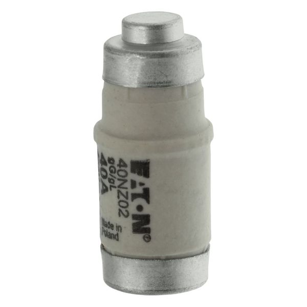 Fuse-link, LV, 40 A, AC 400 V, D02, gL/gG, IEC, time-delay image 19