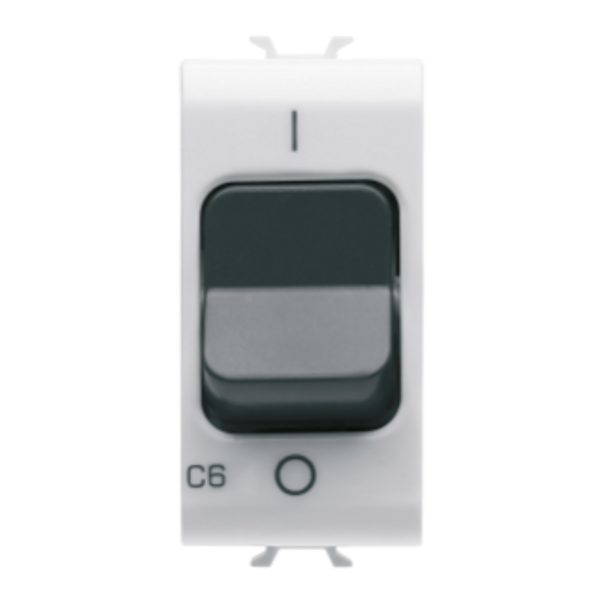 MINIATURE CIRCUIT BREAKER - C CHARACTERISTIC - 1P 6A 230Vac - 1 MODULE - GLOSSY WHITE - CHORUSMART image 1