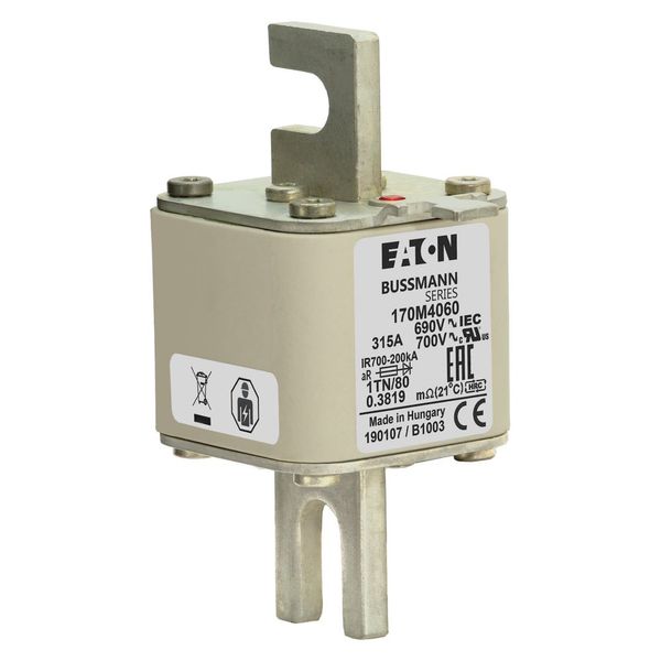 Fuse-link, high speed, 315 A, AC 690 V, DIN 1, 53 x 66 x 108 mm, aR, DIN, IEC, single indicator image 16