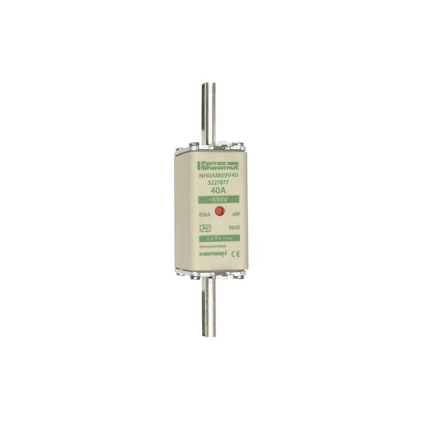 Fuse-link NH0 aM 690VAC 40A live tags Double indicator image 1