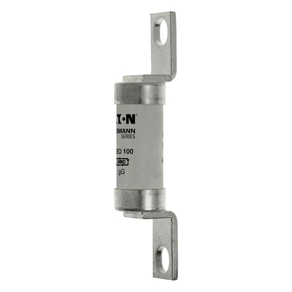 Fuse-link, LV, 100 A, AC 500 V, BS88/A4, 25 x 110 mm, gL/gG, BS image 6