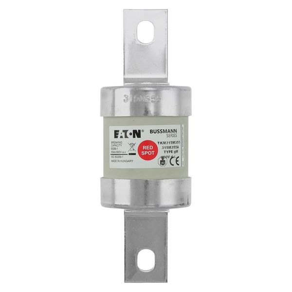 Fuse-link, low voltage, AC 660 V, DC 460 V, BS88, 53 x 160 mm, gM, BS image 15