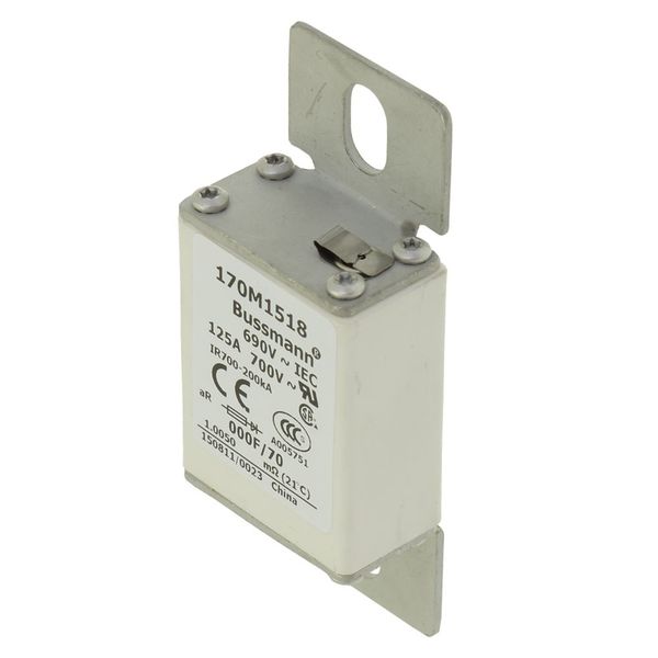 Fuse-link, high speed, 110 A, AC 660 V, size 000, 24 x 36 x 96 mm, aR, IEC, visual indicator image 10