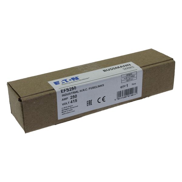 Fuse-link, LV, 250 A, AC 415 V, BS88/B2, 31 x 158 mm, gL/gG, BS image 18