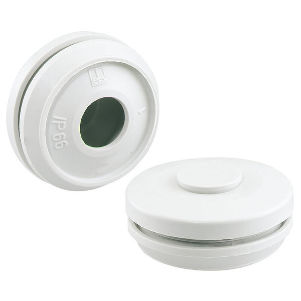 Double-membrane seals, M32, clear white, Type of protection IP66 image 1