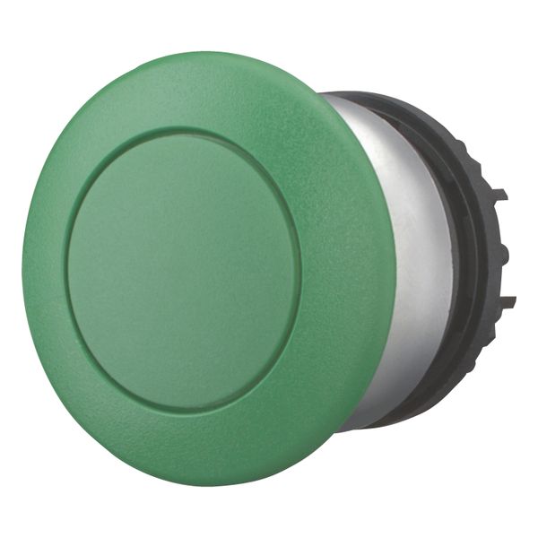 Mushroom actuator, RMQ-Titan, Mushroom, maintained, Mushroom green, green, Blank, Bezel: titanium image 2