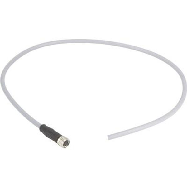 M8 Cable Assembly 4-poles st/- f/- 2,5m image 1