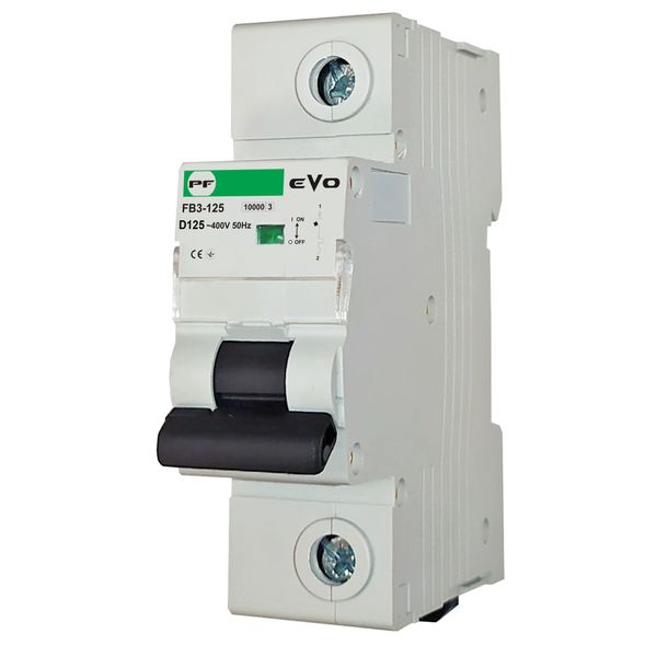 Miniature circuit breaker FB3-125 1P D 125A 10kA EVO image 1