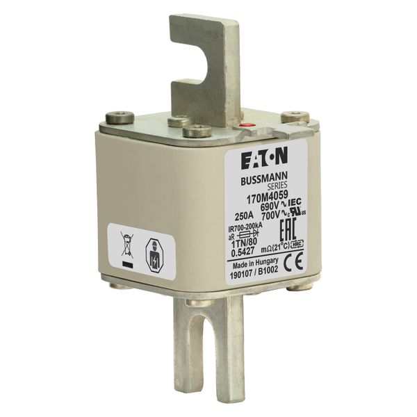 Fuse-link, high speed, 250 A, AC 690 V, DIN 1, 53 x 66 x 108 mm, aR, DIN, IEC, single indicator image 11