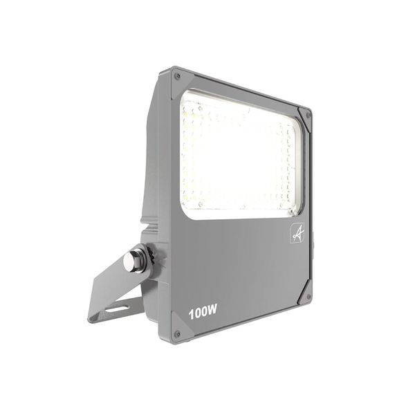 Aztec Coastal Symmetrical Floodlight 100W image 1