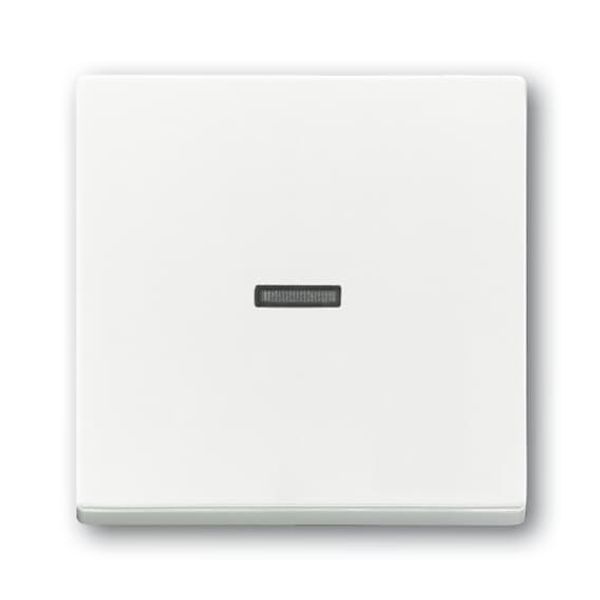 1789 N-84-500 Mechanical Controls for Switch/push button, Single rocker studio white - 63x63 image 4